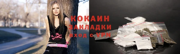 дживик Алексин