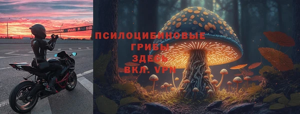 хмурый Абаза