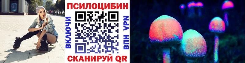 mega tor Цивильск Псилоцибиновые грибы Cubensis дарнет шоп