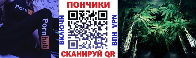 где продают   Цивильск  МЕГА   МАРИХУАНА сатива 